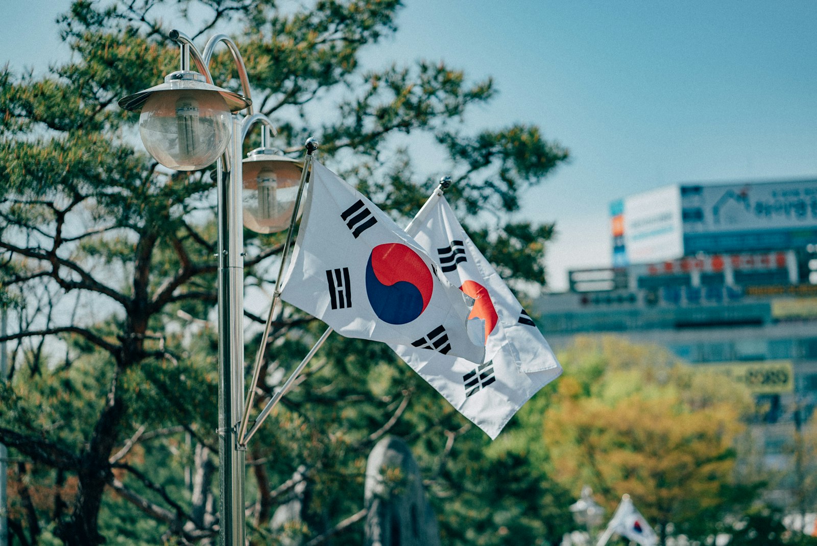 Two South Korean flags waving on a metal pole near pine trees