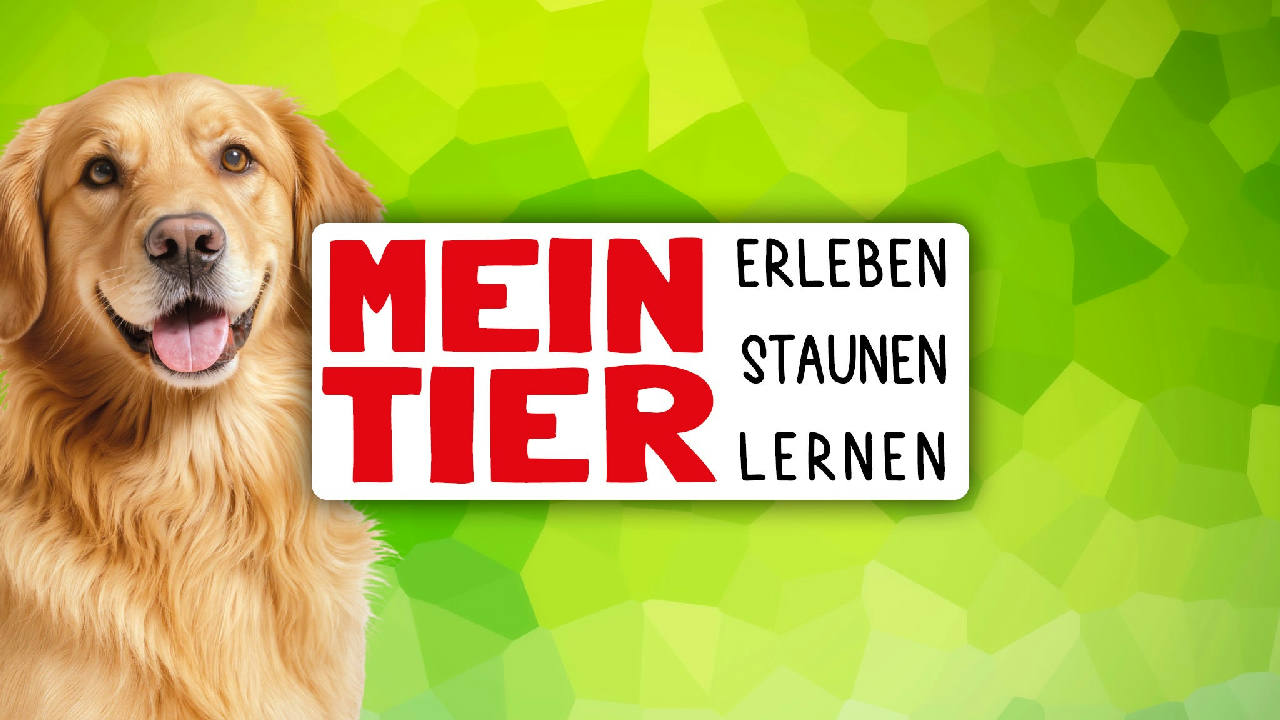 Mein Tier in Oldenburg
